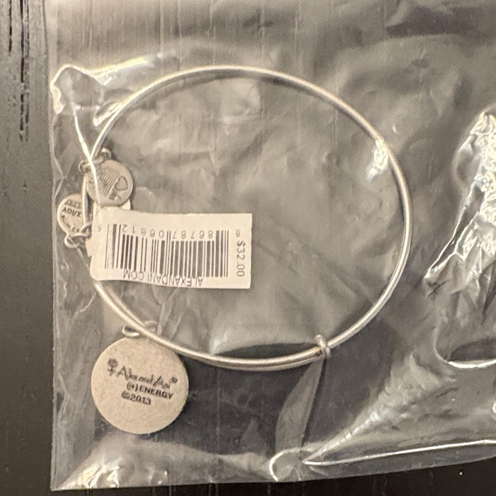 Alex and Ani Silver Charm Bracelet